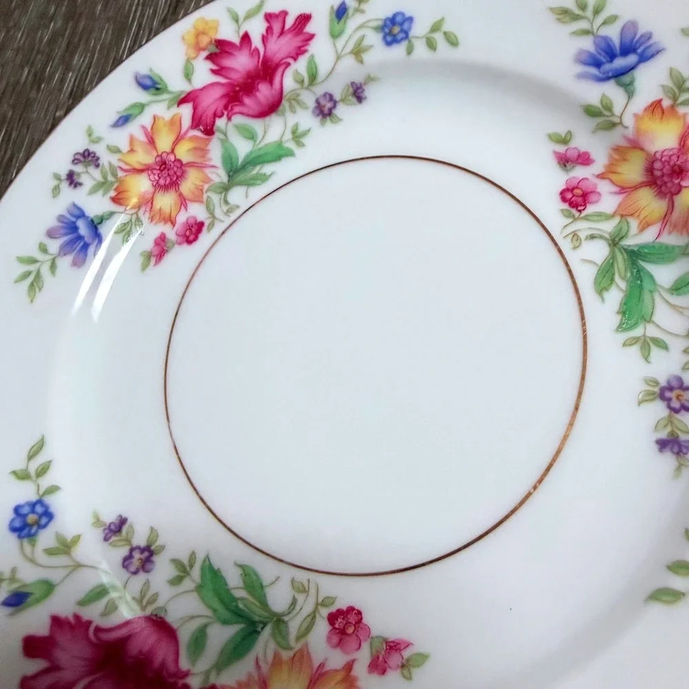Eschenbach Baronet China Lorna Bread Butter Plates Set of 4 Bavaria Germany 6.25